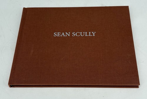 Sean scully light and - light, gravity